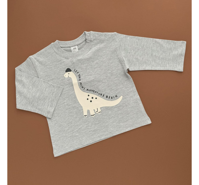 Реглан H&M, сірий/динозавр