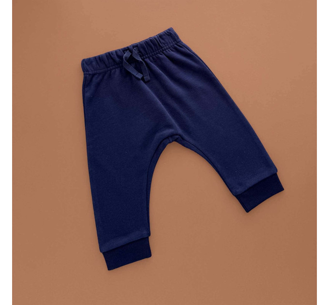 Штани George флісові, синій