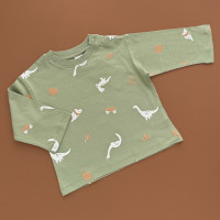 Реглан H&M, зелений/динозаврики