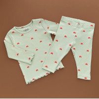 Костюмчик Реглан з штанами, зелений/веселка